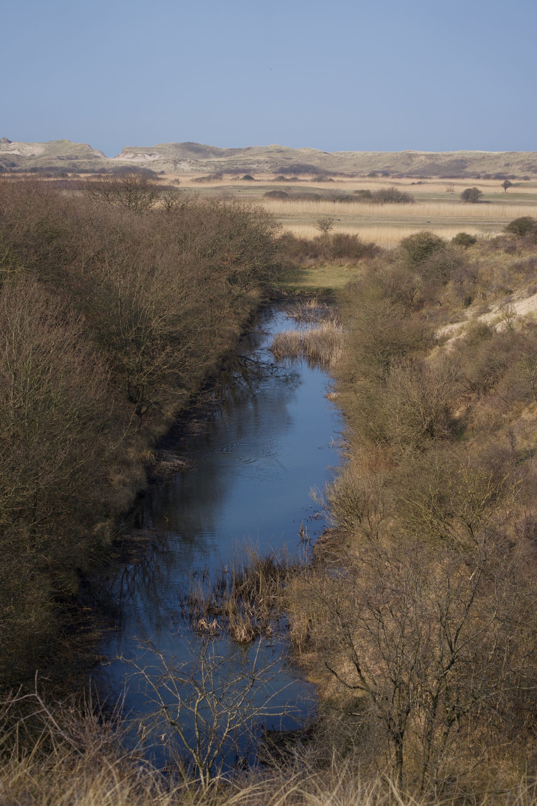 Wijk aan zee Noord hollands duin